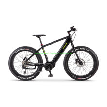 Bafang MID Motor Snow/Fat Tire Elektrofahrrad